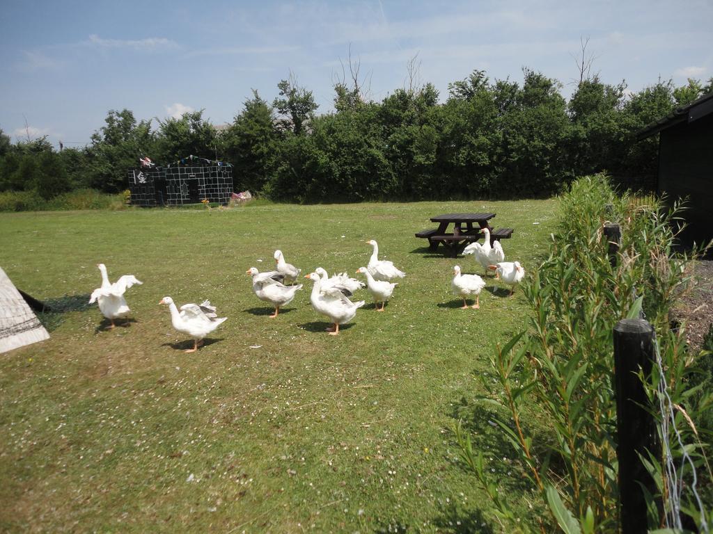 Willow Court Farm The Lodge & Petting Farm, 8 Mins From Legoland & Windsor, 15 Mins From Lapland Uk Exteriér fotografie